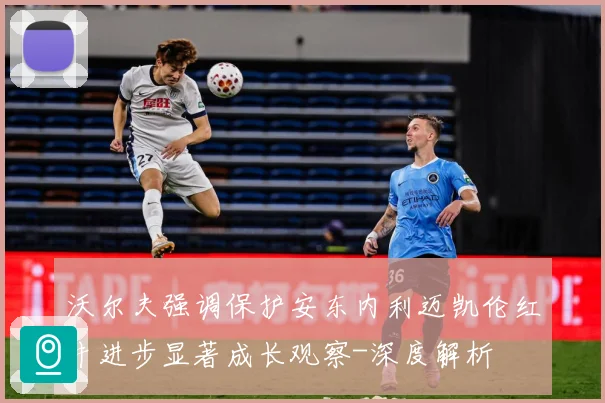 沃尔夫强调保护安东内利迈凯伦红牛进步显著成长观察-深度解析
