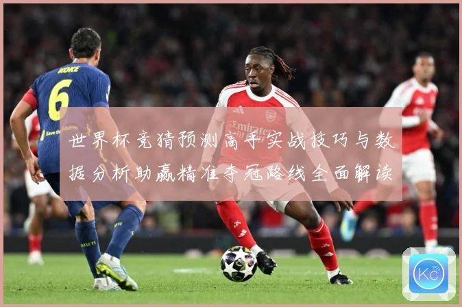世界杯竞猜预测高手实战技巧与数据分析助赢精准夺冠路线全面解读数据研判-深度解析