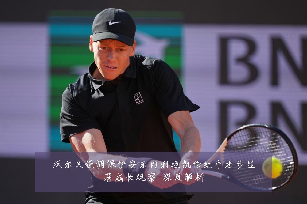 沃尔夫强调保护安东内利迈凯伦红牛进步显著成长观察-深度解析